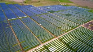 solar farm working to unlock Texas's untapped solar potential