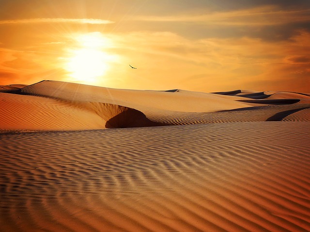 desert sun photo