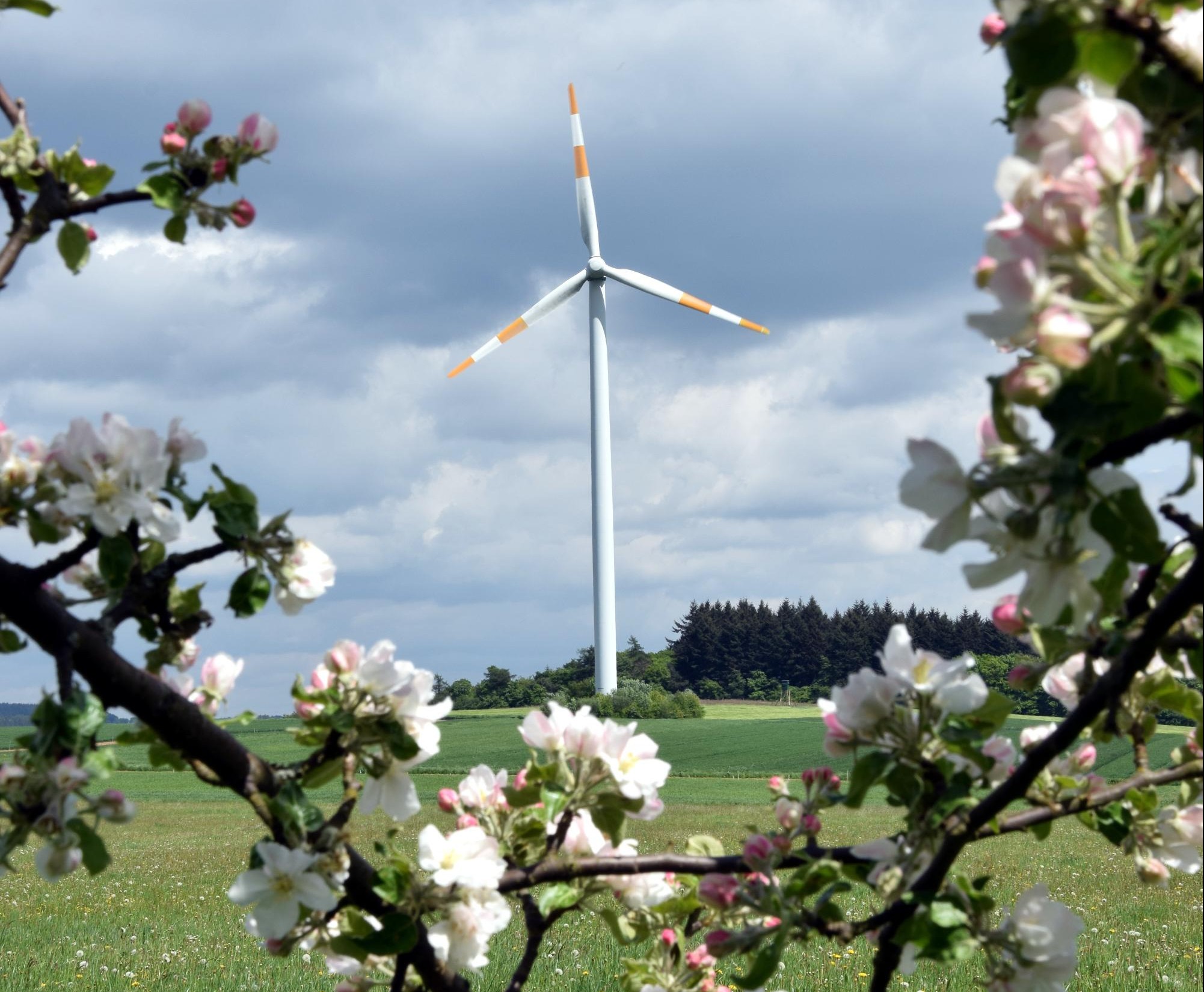 New Jersey wind turbine