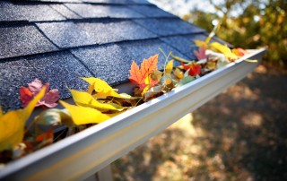 Proper Maintenance for Your Home: 5 Outdoor Tips