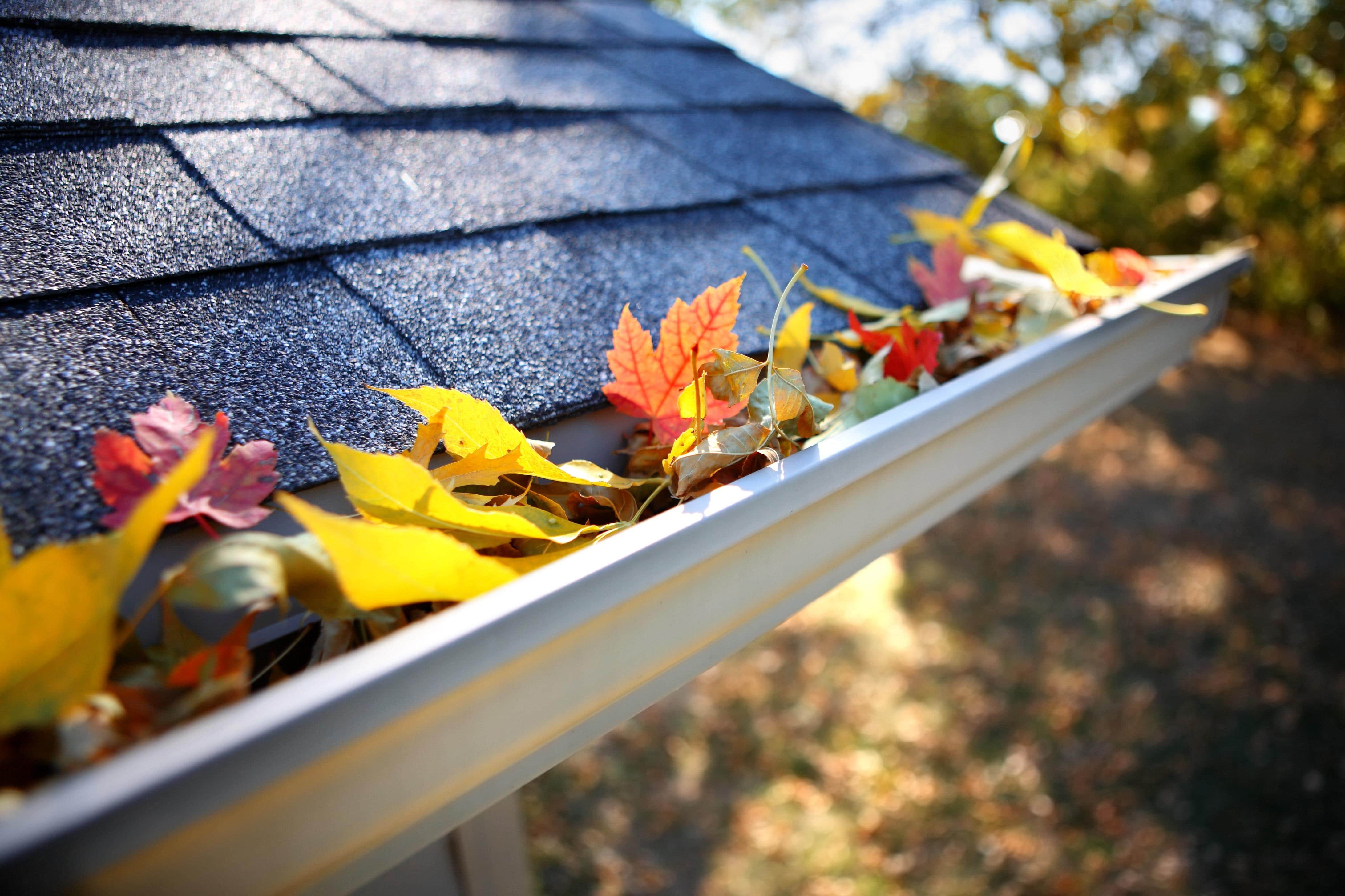 4 Fall Home Maintenance Tips from Solar Royal